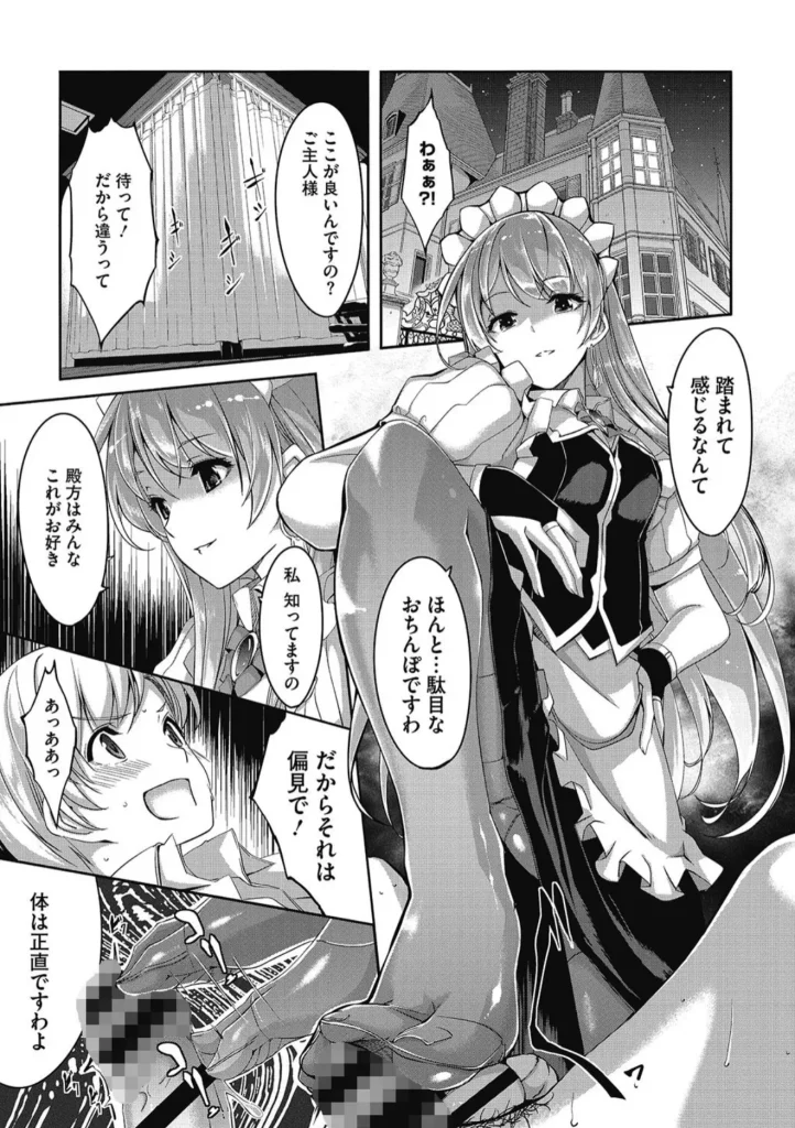 レイカは華麗な僕のメイド
