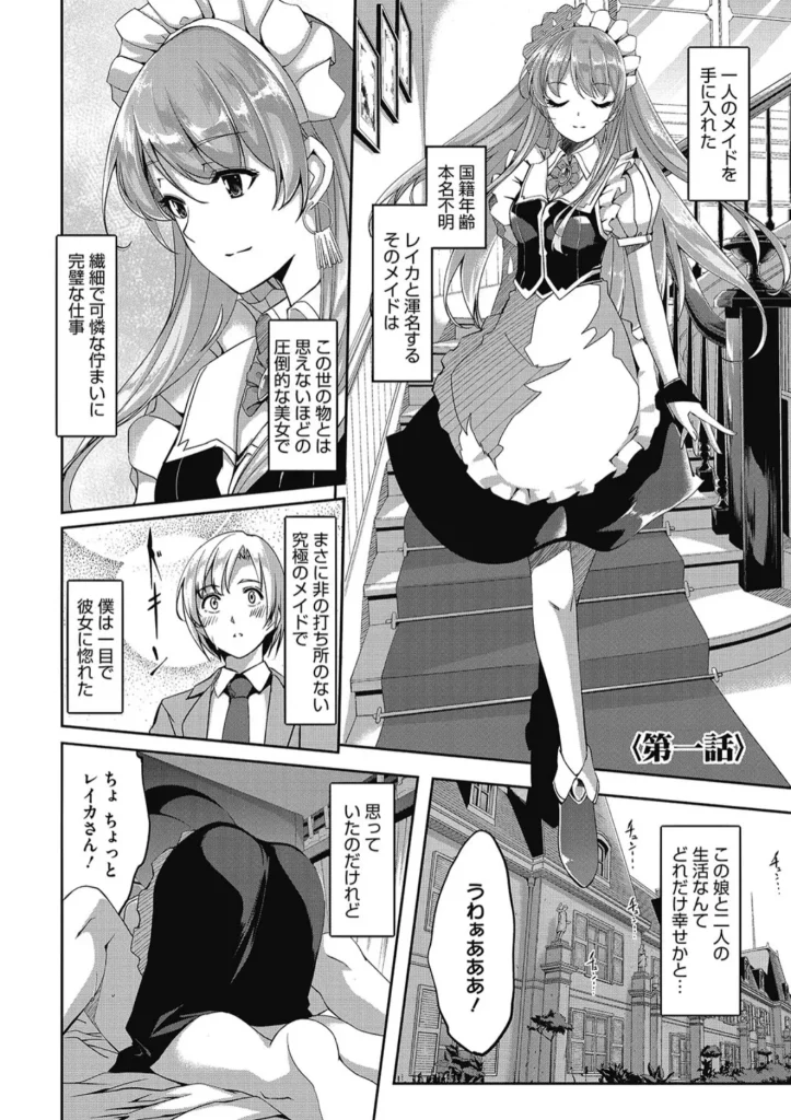 レイカは華麗な僕のメイド